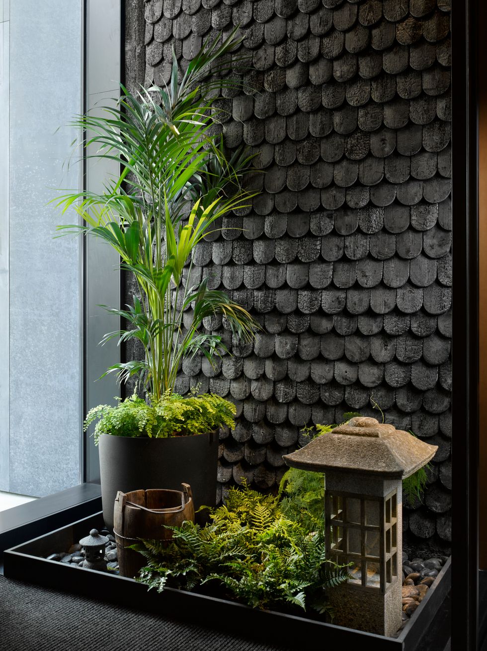Houseplant, Wall, Plant, Flowerpot, Window, Tree, Herb, House, Room, Architecture, 