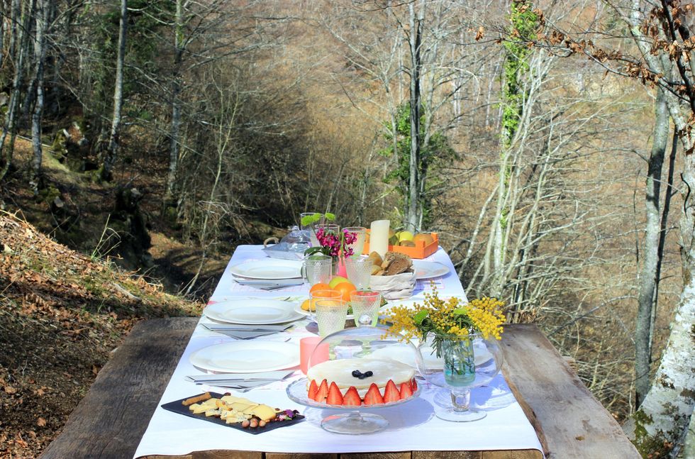 Meal, Picnic, Brunch, Recreation, Table, Spring, Event, Tree, Forest, Wildflower, 