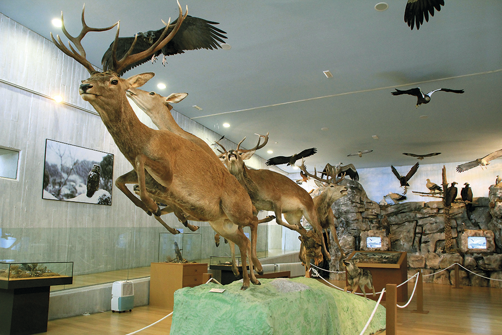 Deer, Elk, Organism, Antler, Reindeer, Horn, Interior design, Sculpture, Natural material, Art, 