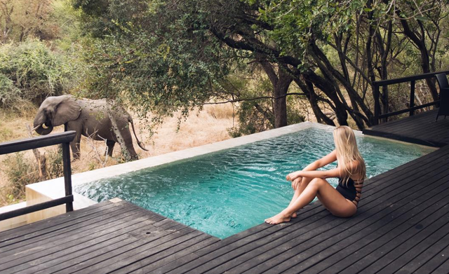 Swimming pool, Leisure, Elephant, Water, Fun, Vacation, Tree, Summer, Elephants and Mammoths, Photography, 