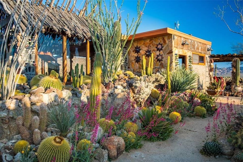 Vegetation, Flower, Garden, Majorelle blue, Cactus, Botany, Plant, Botanical garden, Landscape, Real estate, 