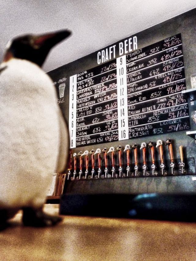 penguin bar