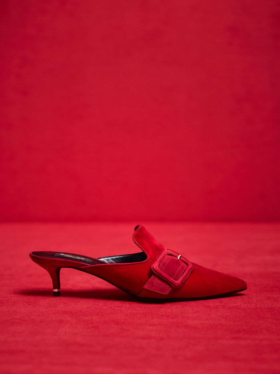 Footwear, Red, Shoe, High heels, Carmine, Basic pump, Leather, Still life photography, Sandal, 