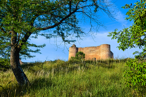Natural landscape, Tree, Grass, Grass family, Sky, Castle, Grassland, Rural area, Fortification, Ruins, 