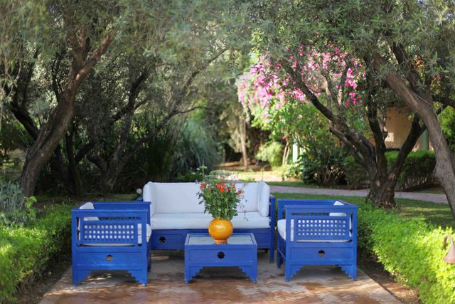 Blue, Bench, Tree, Garden, Furniture, Botany, Majorelle blue, Spring, Backyard, Plant, 