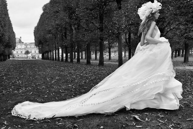 Wedding dress, Dress, Photograph, Gown, White, Bride, Bridal accessory, Black, Bridal clothing, Bridal veil, 