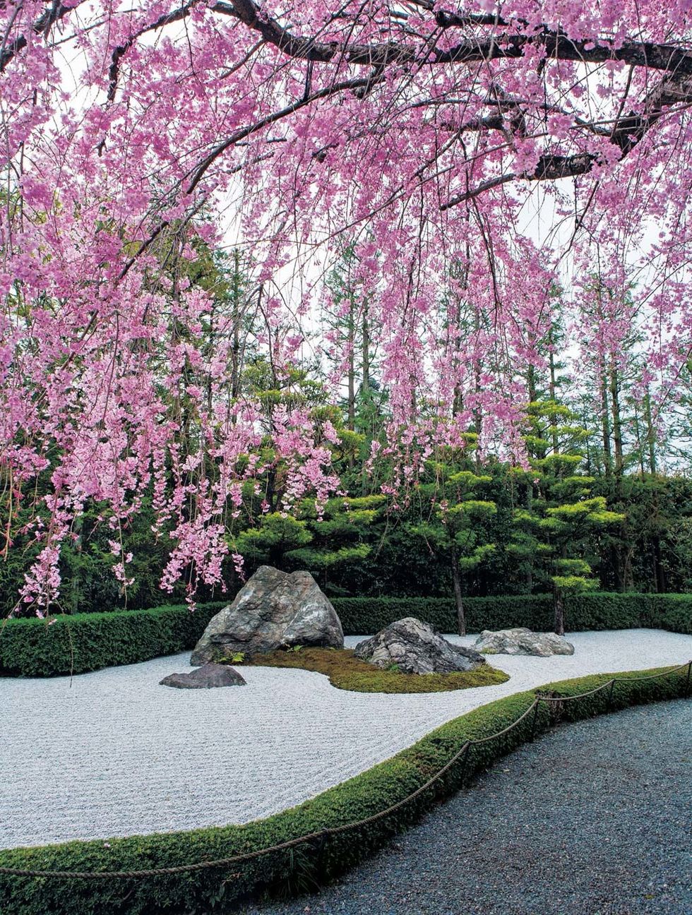 Jardines: El Camino del Filósofo, en Kyoto