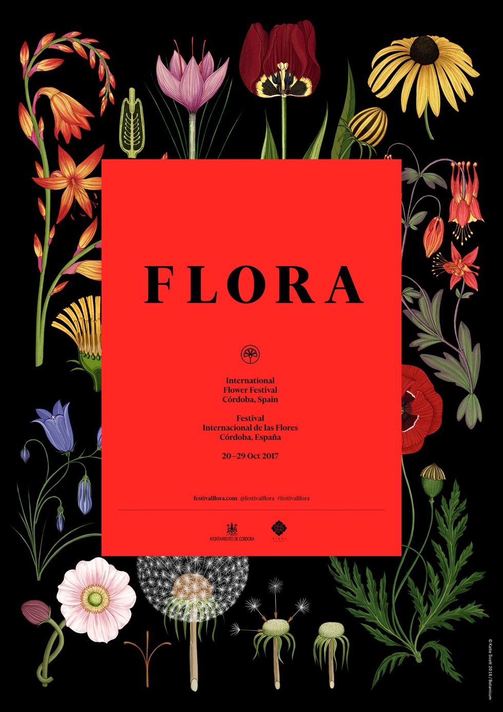 Text, Flower, Plant, Illustration, Floral design, Font, Wildflower, Floristry, 