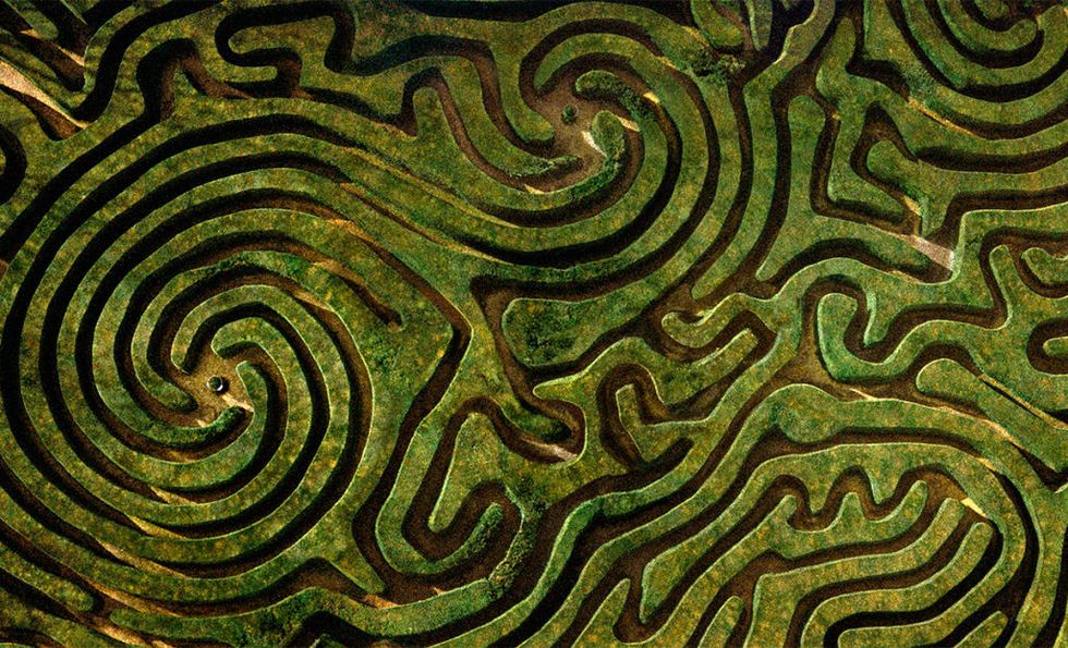 Green, Pattern, Design, Organism, Maze, Labyrinth, Puzzle, Landscape, Fractal art, 