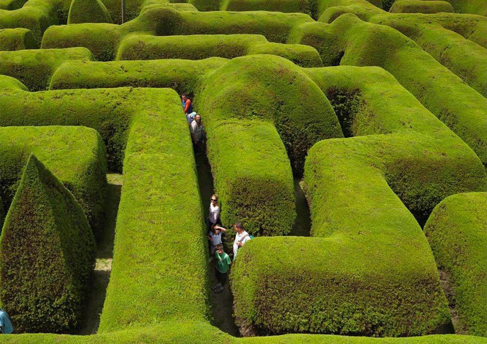 Green, Maze, Grass, Hedge, Shrub, Plant, Landscape, Labyrinth, Plantation, Outdoor structure, 
