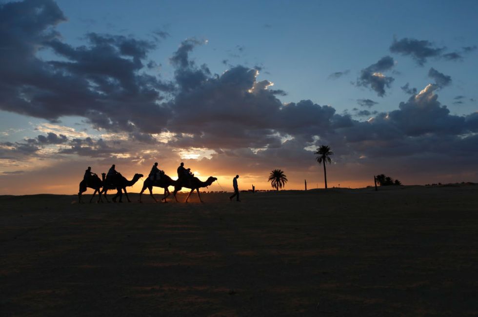 Sky, Camel, Natural environment, Cloud, Sunset, Dusk, Landscape, Evening, Morning, Arabian camel, 