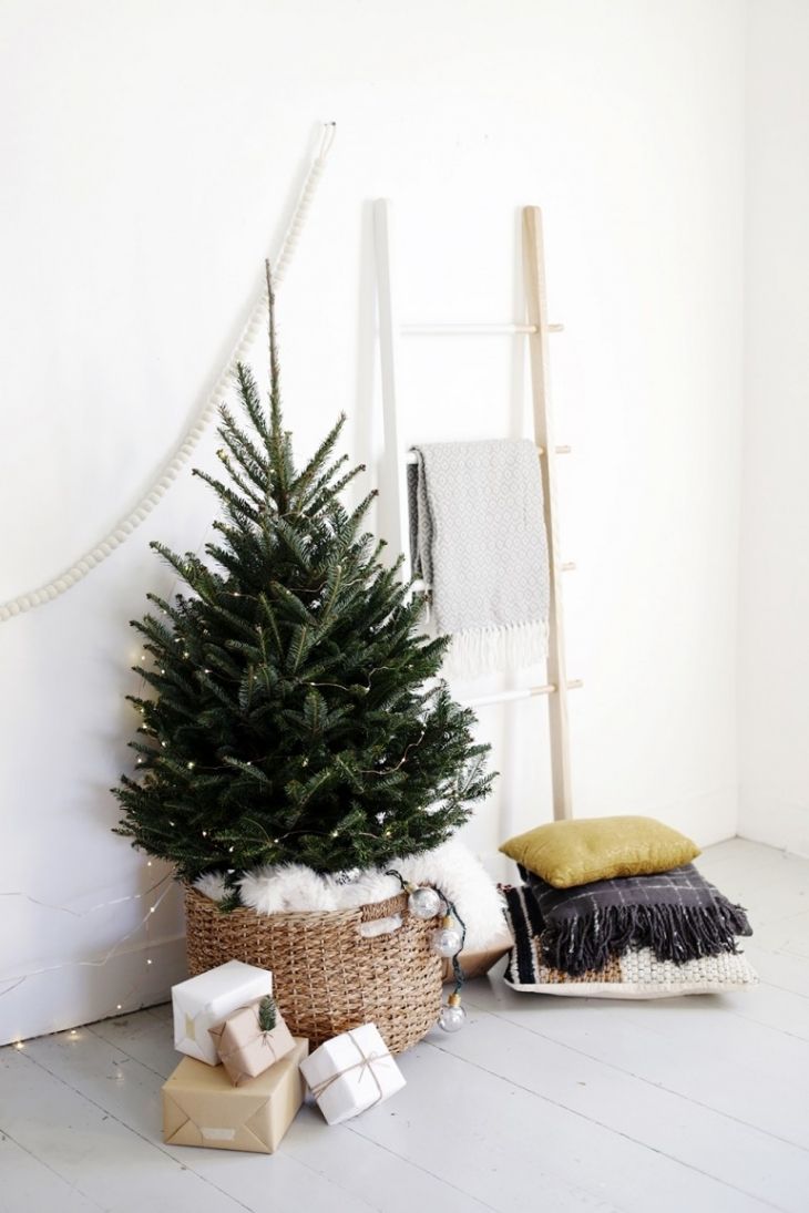 Christmas tree, Colorado spruce, White, Tree, Christmas decoration, Branch, Twig, oregon pine, Room, Fir, 