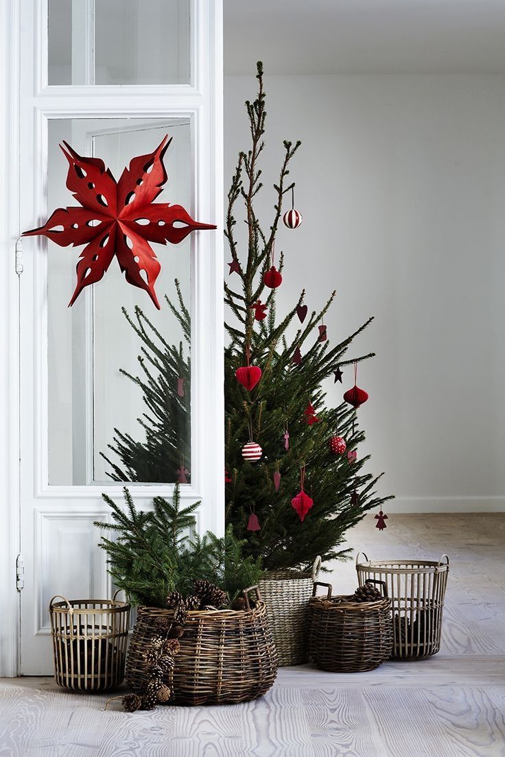 Christmas decoration, White, Red, Christmas tree, Tree, Twig, Christmas, Colorado spruce, Room, Plant, 