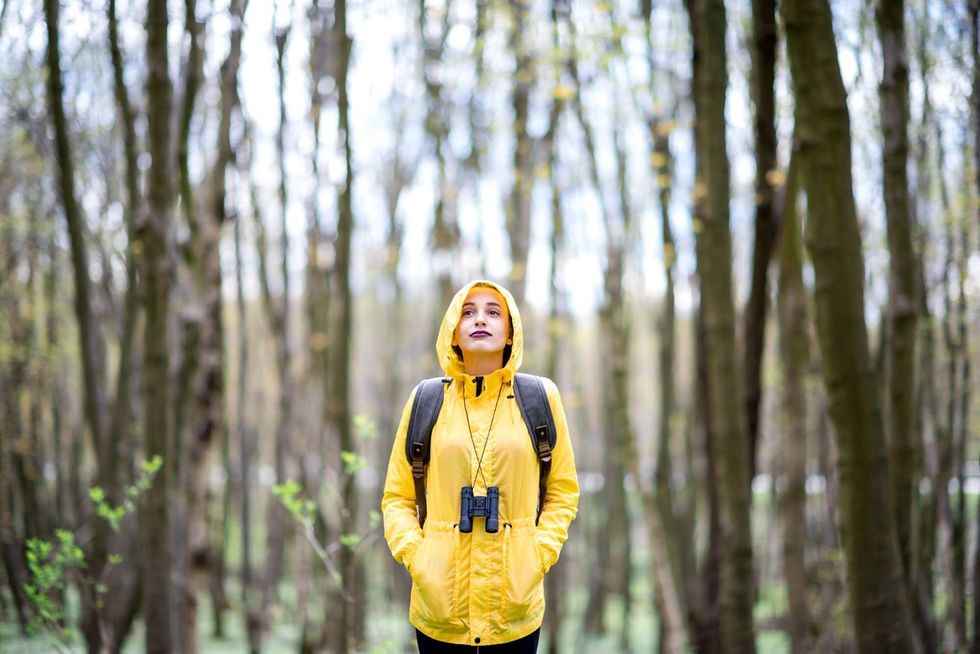 People in nature, Photograph, Yellow, Tree, Forest, Natural landscape, Natural environment, Outerwear, Fun, Photography, 