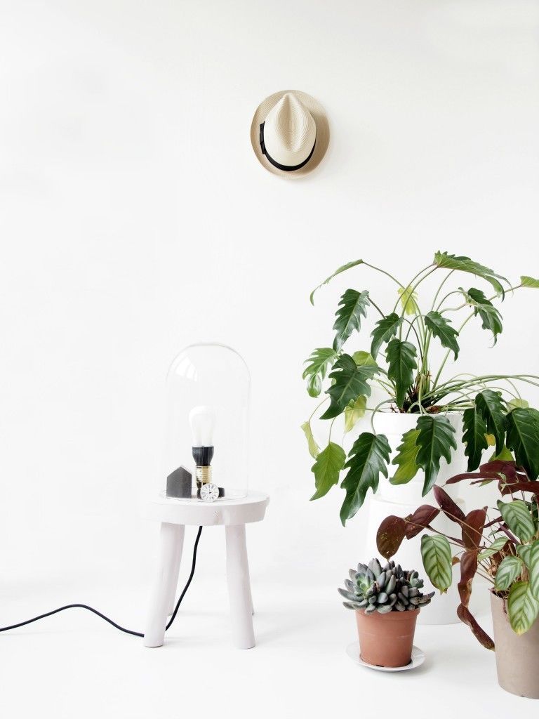 White, Flowerpot, Houseplant, Leaf, Plant, Room, Table, Flower, Interior design, Furniture, 