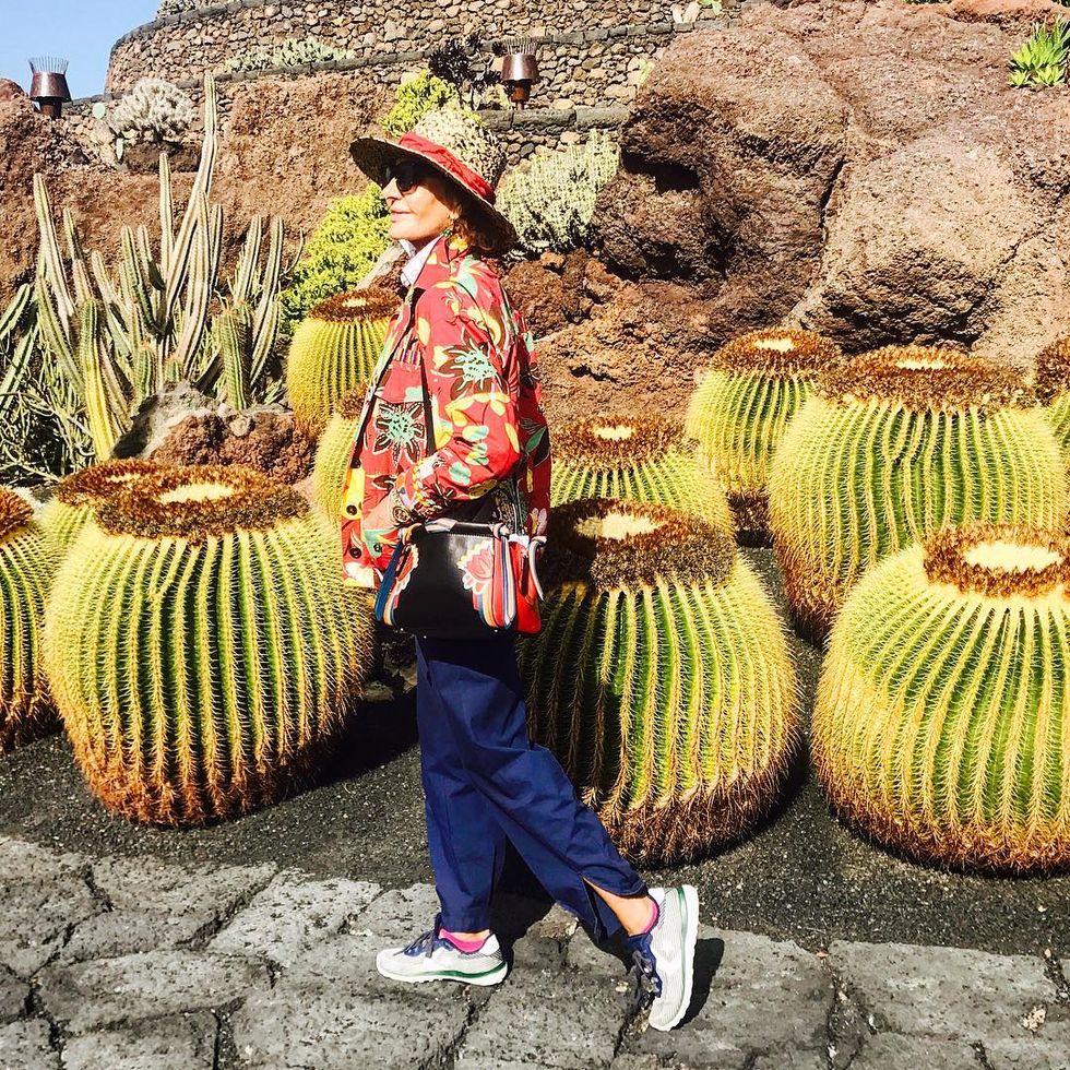 Cactus, Plant, Adaptation, Flower, Tourism, 