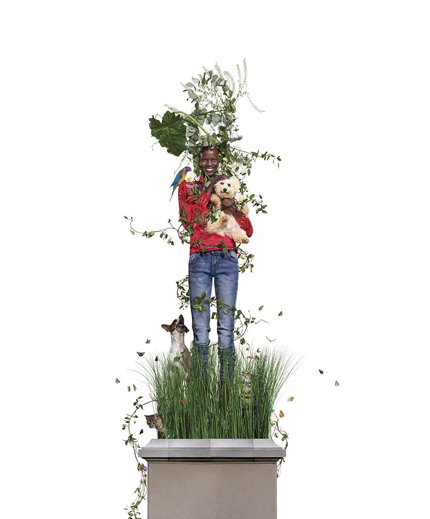 Flowerpot, Houseplant, Plant, Flower, Grass, Tree, Floral design, Art, 