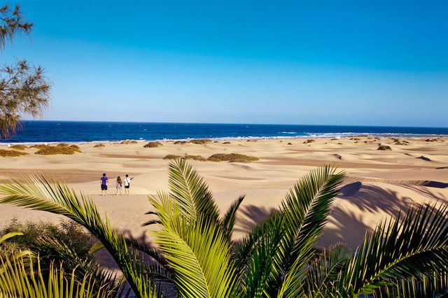 Sand, Nature, Sky, Natural environment, Vegetation, Beach, Sea, Tree, Shore, Coast, 