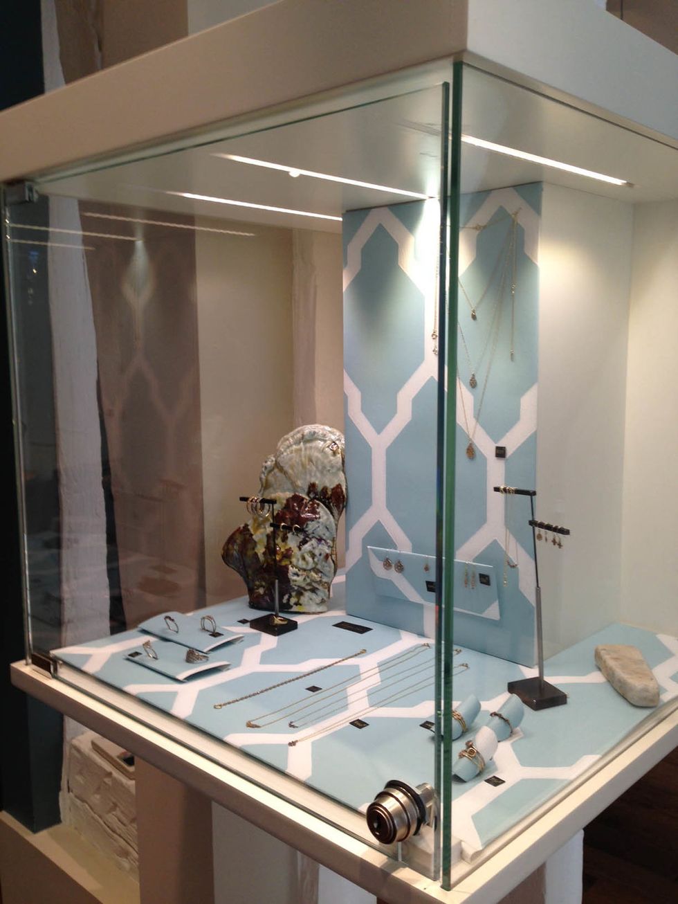 Display case, Museum, Transparent material, Collection, Tourist attraction, Anthropology, Natural material, Display window, 