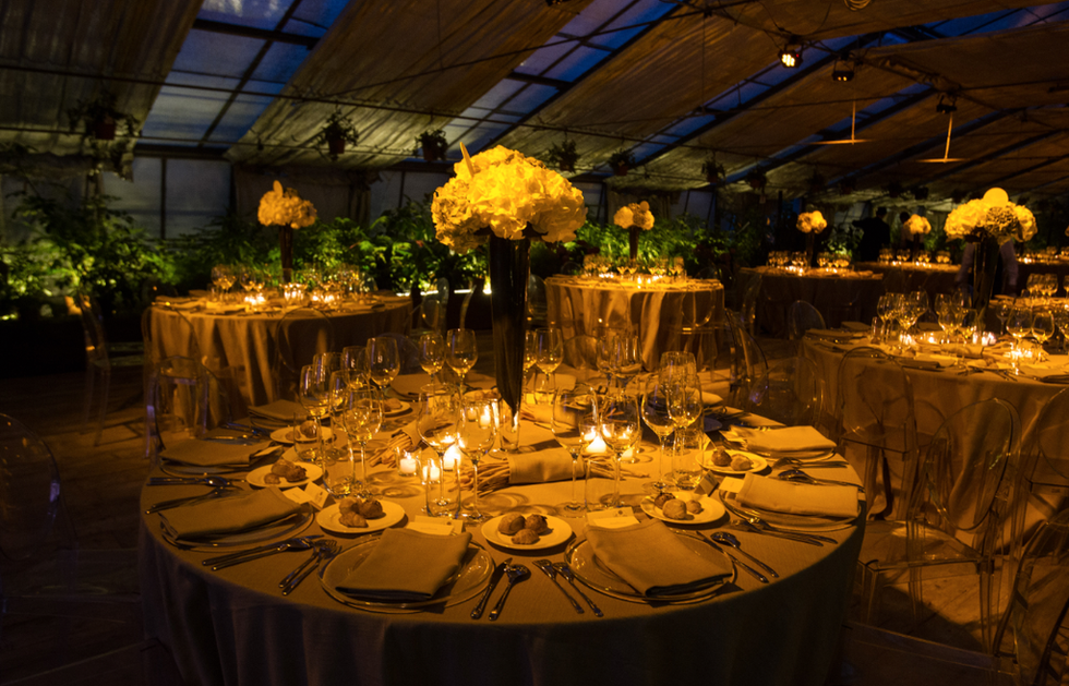 Tablecloth, Yellow, Textile, Function hall, Decoration, Linens, Table, Centrepiece, Amber, Floristry, 