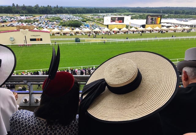 Hat, Sport venue, Headgear, Costume accessory, Fashion accessory, Sun hat, Stadium, Costume hat, Fedora, Back, 