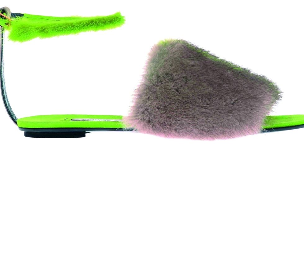 Green, Brush, Costume accessory, Pet supply, Scale, Household supply, 