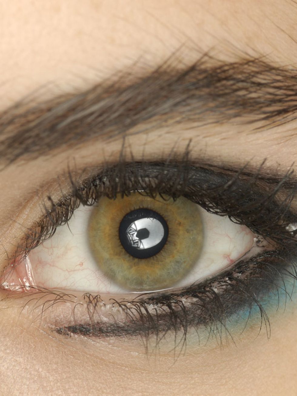 Blue, Brown, Green, Skin, Eyelash, Eyebrow, Iris, Amber, Colorfulness, Violet, 