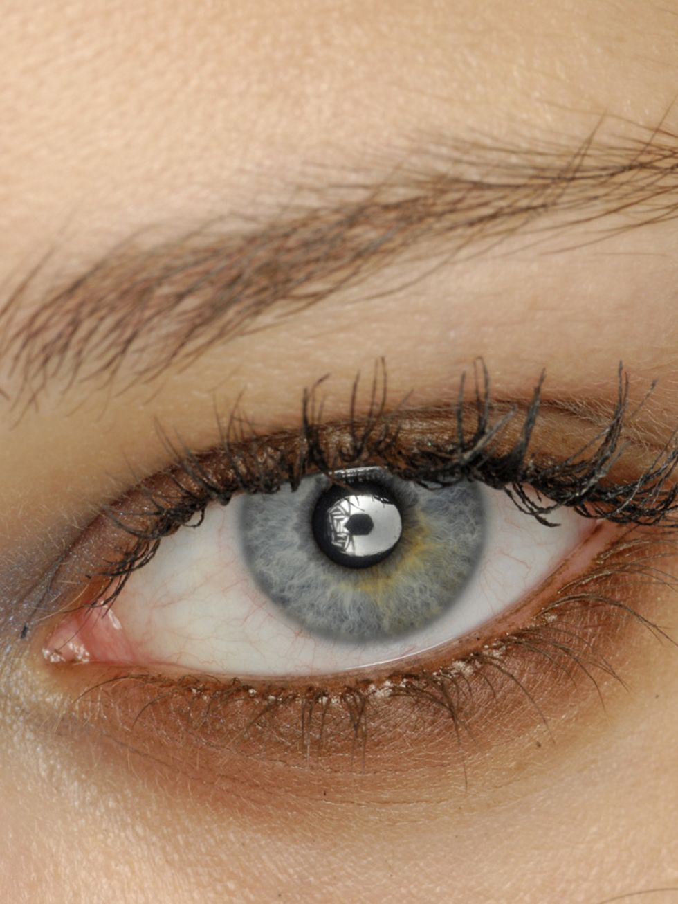 Brown, Eye, Skin, Eyelash, Eyebrow, Iris, Amber, Organ, Beauty, Eye shadow, 