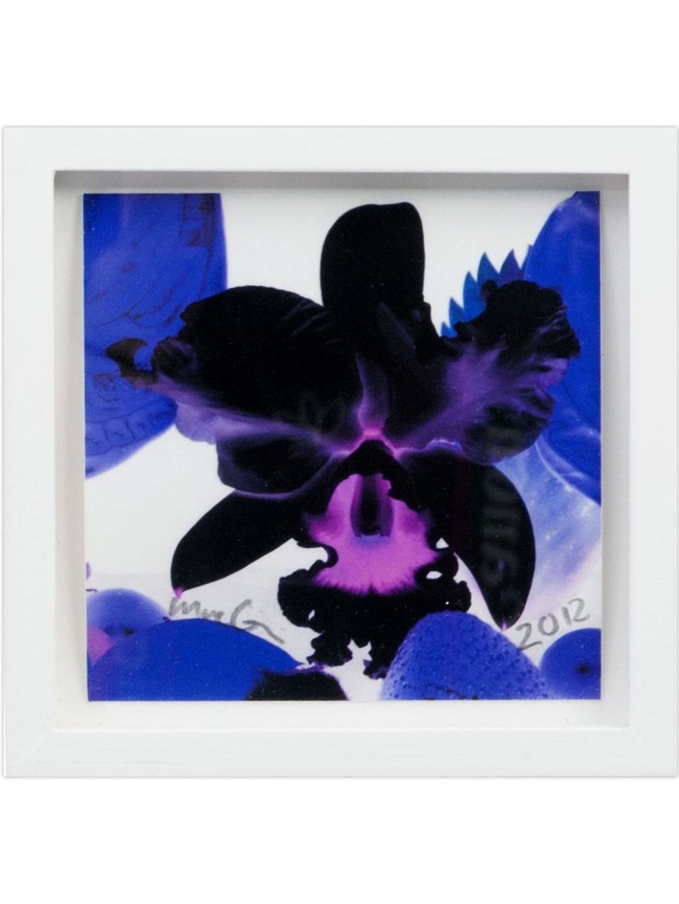 Blue, Petal, Cobalt blue, Flowering plant, Rectangle, Paint, Artificial flower, Painting, Cut flowers, Iris, 