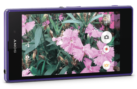 Electronic device, Display device, Petal, Flower, Technology, Pink, Purple, Magenta, Flowering plant, Gadget, 