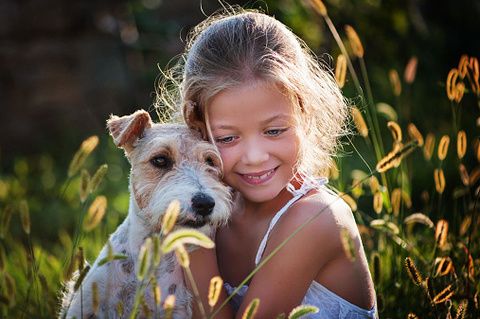Human, Dog breed, Dog, Carnivore, Mammal, People in nature, Summer, Terrier, Sunlight, Blond, 