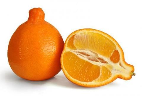 Product, Orange, Citrus, Natural foods, Fruit, Ingredient, Amber, Tangerine, Produce, Orange, 