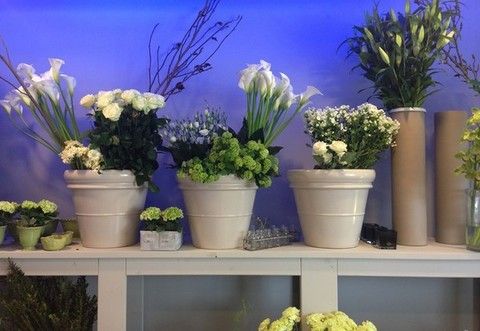 Blue, Flowerpot, Plant, Flower, Purple, Majorelle blue, Interior design, Lavender, Artifact, Vase, 