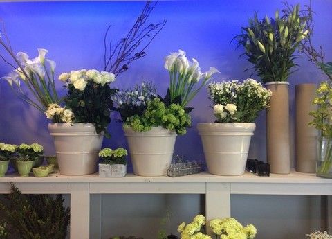 Blue, Flowerpot, Plant, Flower, Majorelle blue, Purple, Interior design, Lavender, Artifact, Vase, 