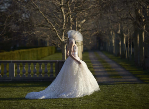 Clothing, Dress, Bridal clothing, Wedding dress, Gown, Bride, Bridal party dress, Ivory, Embellishment, Wedding, 