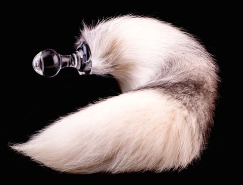 Fur, Flash photography, Blond, Feather, Tail, Natural material, 