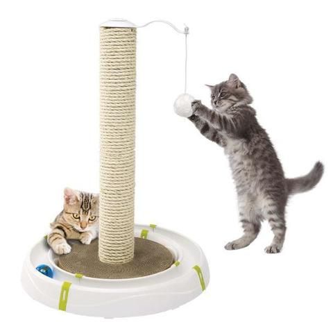 Vertebrate, Small to medium-sized cats, Carnivore, Felidae, Pet supply, Cat, Cat supply, Tail, Whiskers, Bird supply, 