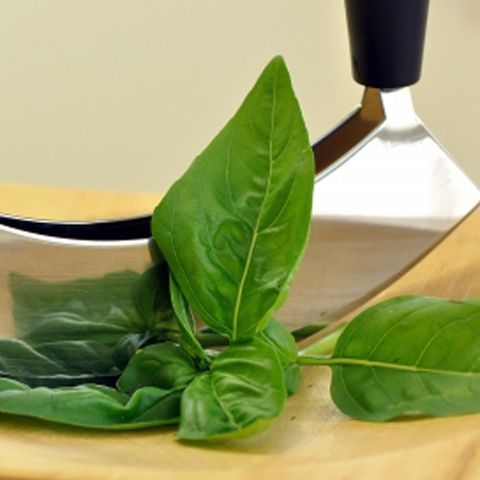 Leaf, Ingredient, Leaf vegetable, Kitchen utensil, Herb, Vegetable, 
