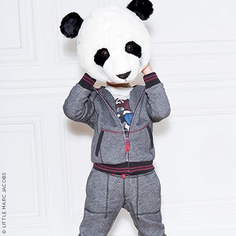 Panda, Carmine, Snout, Terrestrial animal, Fur, Stuffed toy, Teddy bear, Toy, Door, Pocket, 