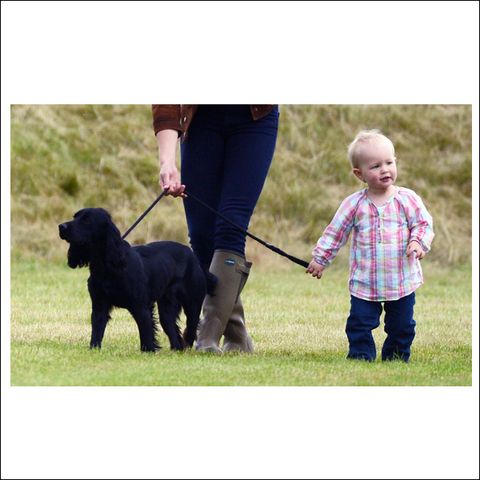 Human, Dog breed, Dog, Carnivore, Vertebrate, Mammal, Leash, Baby & toddler clothing, Sporting Group, People in nature, 