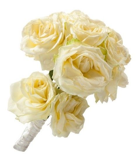 Petal, Yellow, Flower, Flowering plant, Cut flowers, Rose family, Rose order, Bouquet, Garden roses, Rose, 