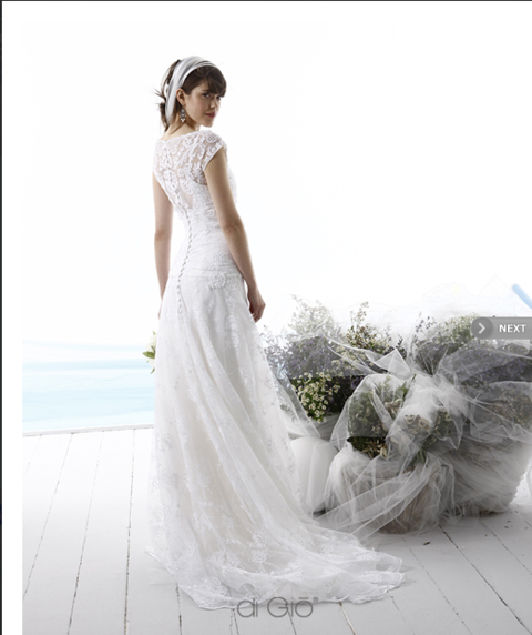 Clothing, Dress, Bridal clothing, Shoulder, Textile, Photograph, White, Gown, Wedding dress, Formal wear, 