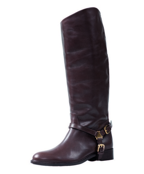 Brown, Boot, Shoe, Leather, Costume accessory, Tan, Maroon, Liver, High heels, Riding boot, 
