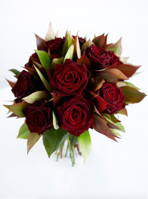 Petal, Bouquet, Flower, Red, Cut flowers, Floristry, Pink, Flower Arranging, Rose family, Flowering plant, 