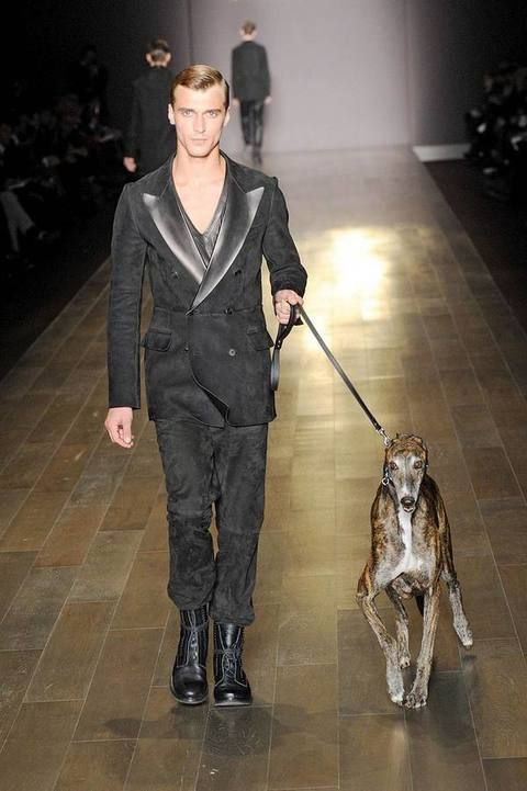 Dog breed, Carnivore, Dog, Outerwear, Style, Floor, Leash, Sporting Group, Fashion, Liver, 