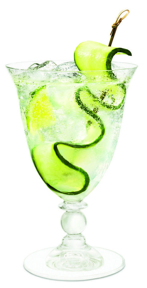Green, Drink, Glass, Citrus, Cocktail, Alcoholic beverage, Classic cocktail, Drinkware, Cocktail garnish, Liquid, 