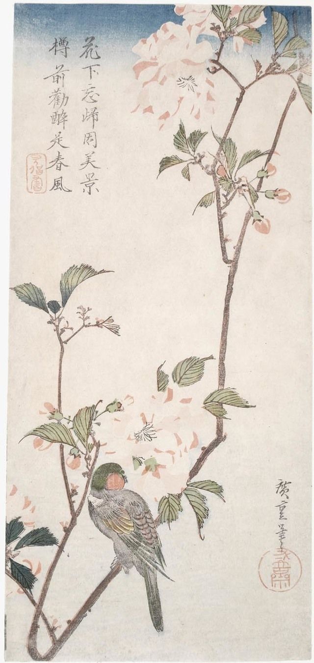 Branch, Twig, Bird, Botany, Flowering plant, Art, Plant stem, Pedicel, Beak, Illustration, 