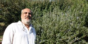 Sleeve, Shrub, Facial hair, People in nature, Beard, Subshrub, Moustache, Wrinkle, Shrubland, Portrait photography, 