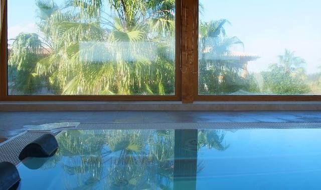 Reflection, Glass, Fluid, Fixture, Swimming pool, Arecales, Transparent material, Shade, Fish, Palm tree, 