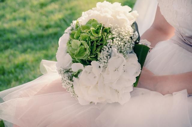 Green, Petal, Photograph, White, Flower, Cut flowers, Bouquet, Wedding ceremony supply, Flowering plant, Ivory, 